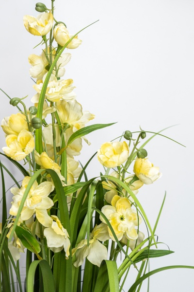 Растение декоративное Окопник желтый в горшке 75 см Девилон