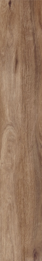 Плитка Allore Group Tahoe Gold F PR R Mat 19,8х120 см