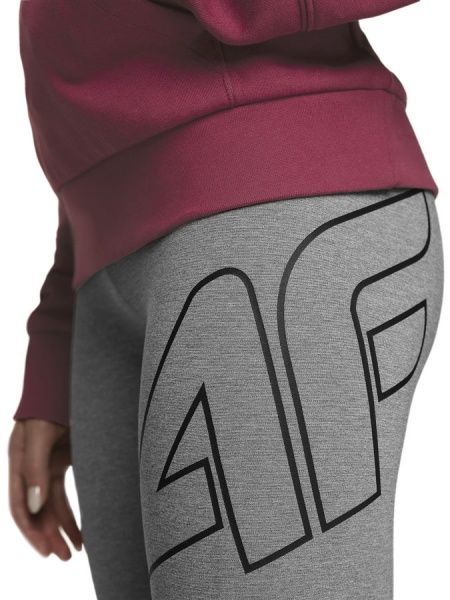 Лосины 4F H4L20-LEG010-24M XL серый