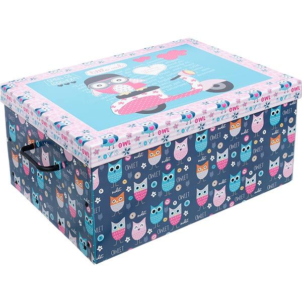 Ящик для вещей Daredevil Owls Maxi 51х37x24 см