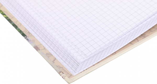 Книга учета Престиж А4 192 листов в ассортименте Аркуш