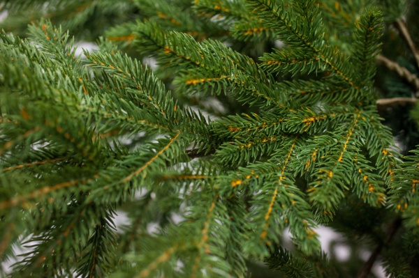 Искусственная елкаКарли-210 зеленый 