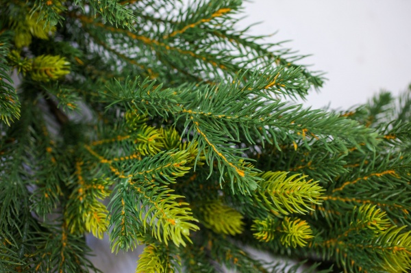 Гірлянда хвойна Маг-2000 №2 1,8 м