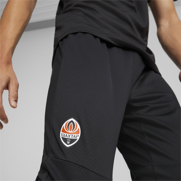 Штани Puma FCSD Training Pants 76724206 р. 2XL різнокольоровий