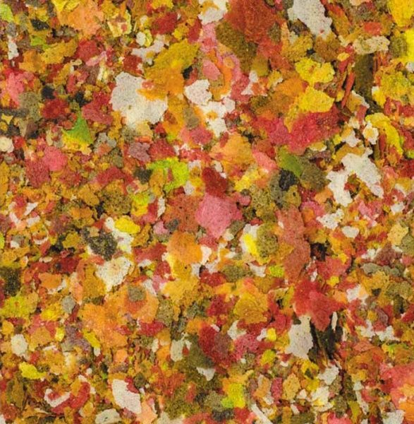 Корм Природа для рыб Биовит Колор 10г