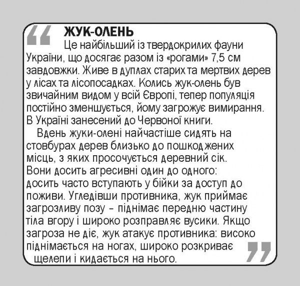 Книга «Навчальний посібник. Комахи. англ-укр»