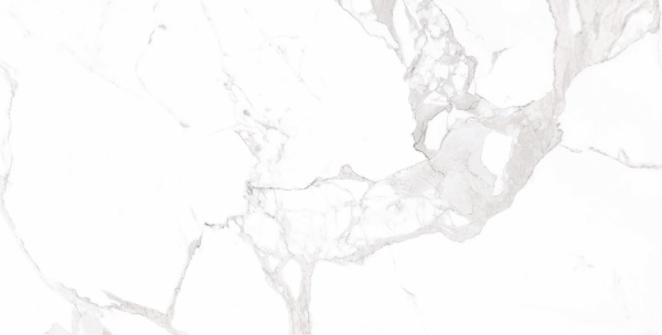 Плитка Allore Group Statuario White F P NR Satin 31x61 