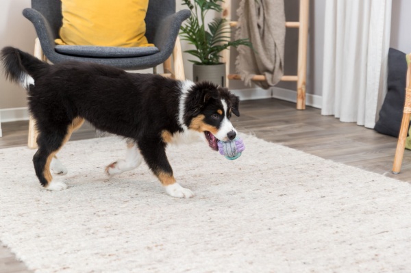 Игрушка Trixie для щенков Мяч-канат 9 см (32814)