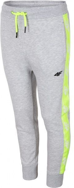 Брюки 4F HJL20-JSPMD002-25M р. 122 серый