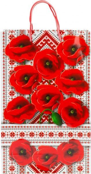 Пакет бумажный 34x23x10