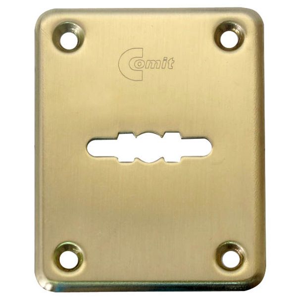 Накладка  RDA 01 матова латунь
