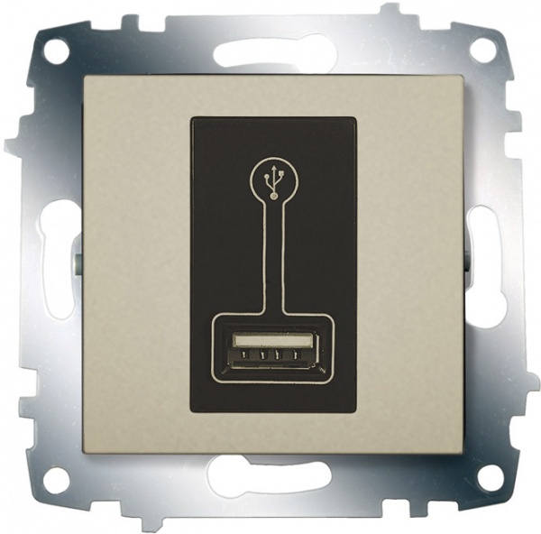 Розетка USB ABB Cosmo титан 619-011400-142