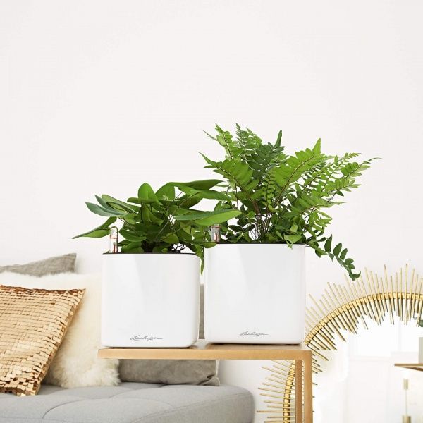 Вазон декоративный Lechuza Cube Glossy 16 квадратный 1,6л белый (13520) 