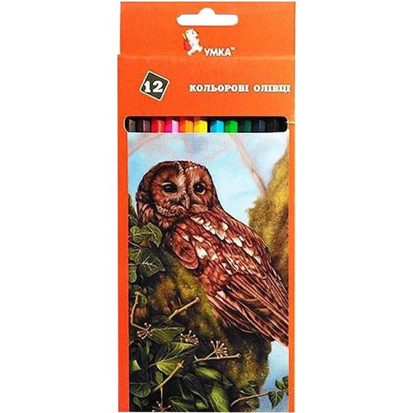 Карандаши цветные Сова 12 цветов ЦК42-14