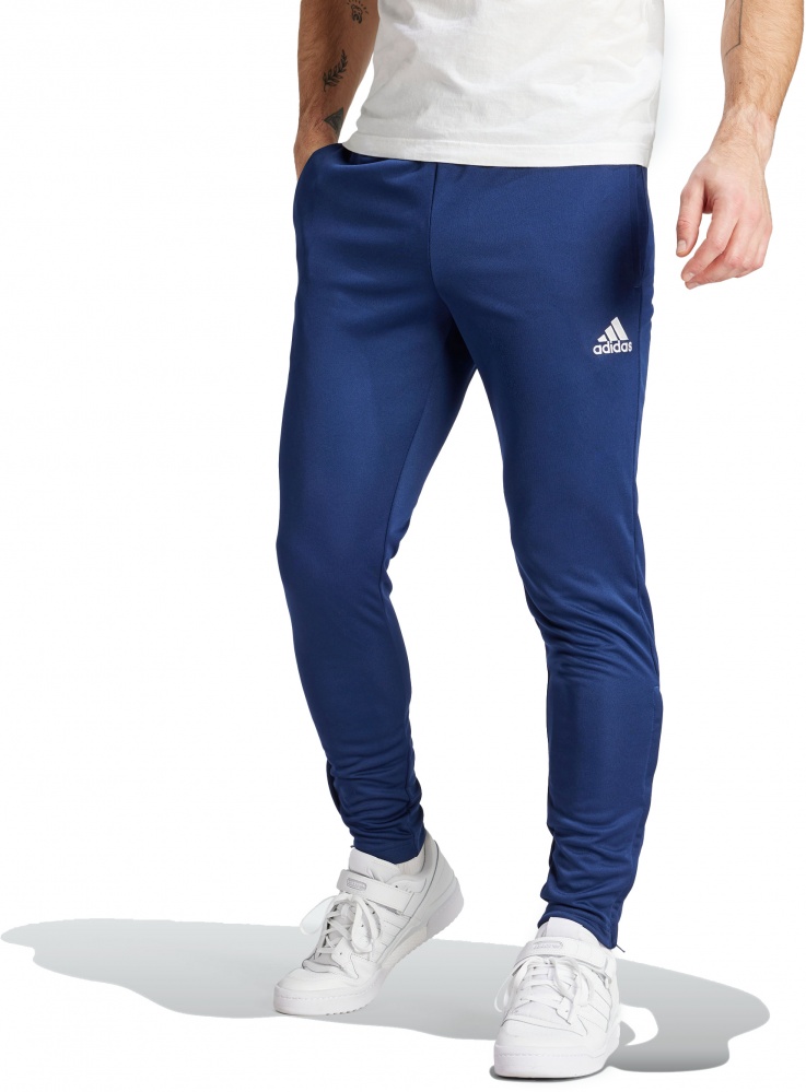 Штани Adidas ENT22 TR PNT HC0333 р. S синій