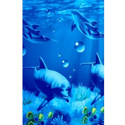 Шторка для душа Duschy Seychelles 180x200 см