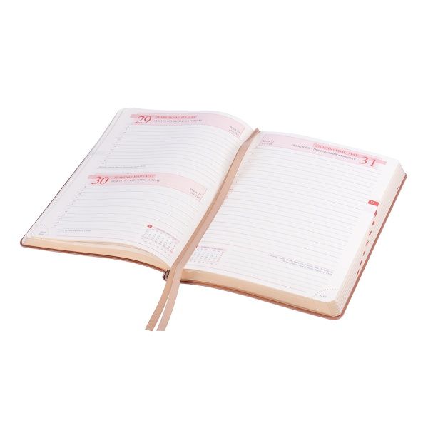 Щоденник А5 Boss 2021 бежевий Leo Planner