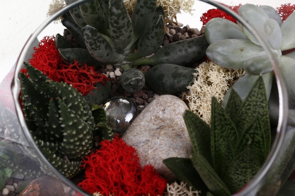 Тераріум новорічний в горизонтальній пляшці з оленем засніжений d38/h15