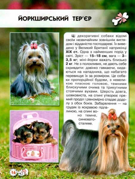 Книга Тамара Протасовицкая «Світ навколо нас. Собаки» 978-966-936-748-8