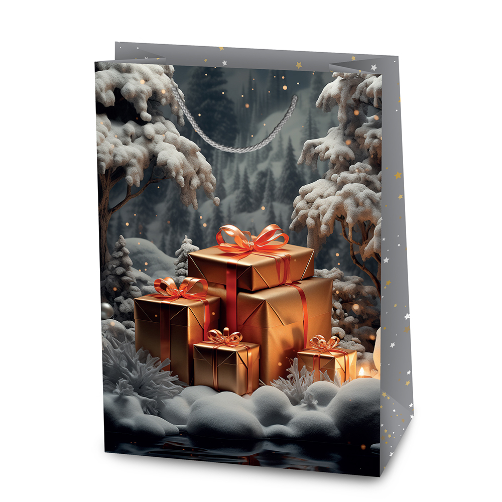 Пакет подарочный XLL-1 НГ