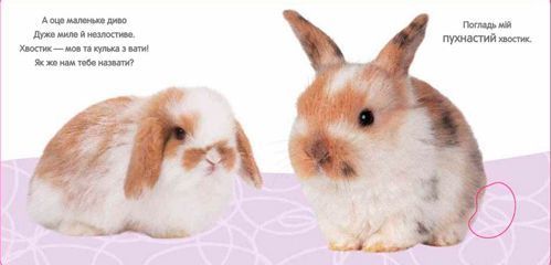 Книга «Кролик и его друзья» 978-966-948-089-7