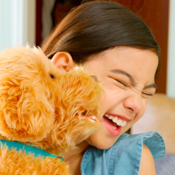 Интерактивный игровой набор My Fuzzy Friends Лабрадудель Moji 18207