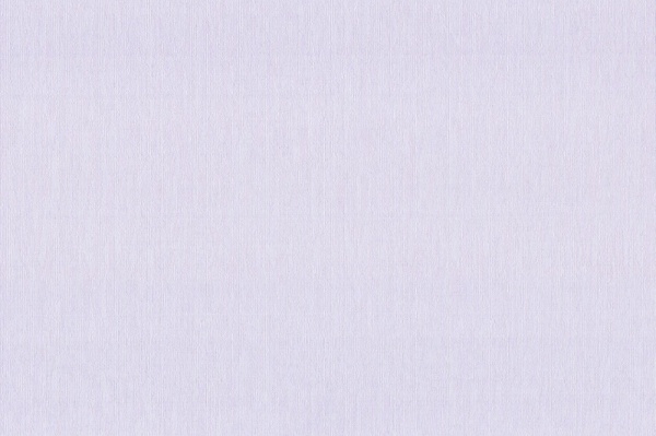 Шпалери вінілові на флізеліновій основі Vinil Астрея стіна ДХН-1497/1 1,06x10,05 м 