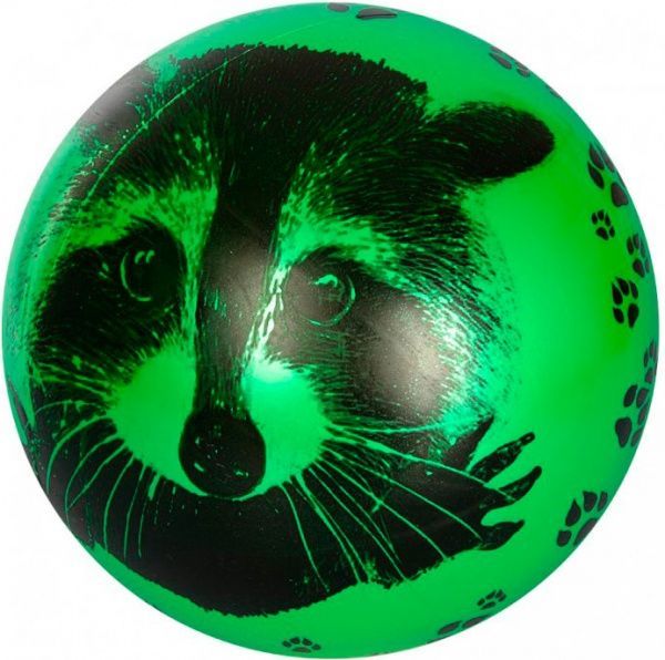 Мяч Енот (6 видов) в ассортименте 23 см MS 1899