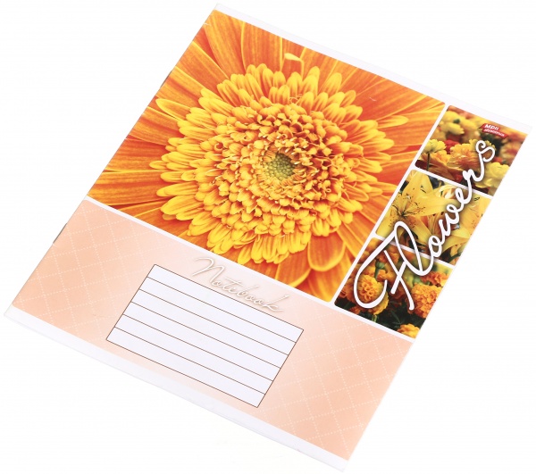 Тетрадь школьная 18 листов в линейку в ассортименте Мечты сбываются