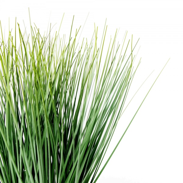 Растение декоративное в горшке зеленое 32 см 190836