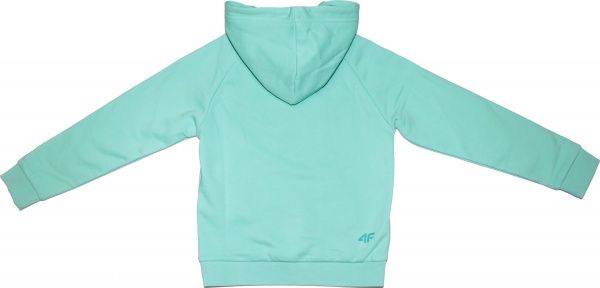Джемпер 4F HJZ20-JBLD006-47S р. 164 м'ятний