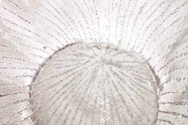 Фруктовниця Ginger clear 50х18 см Antonio Tammaro 