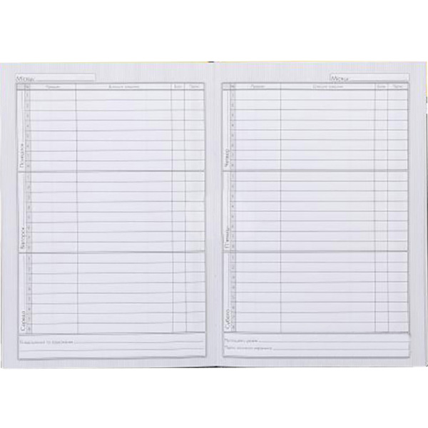 Дневник школьный серия Smiley World 2251593022018