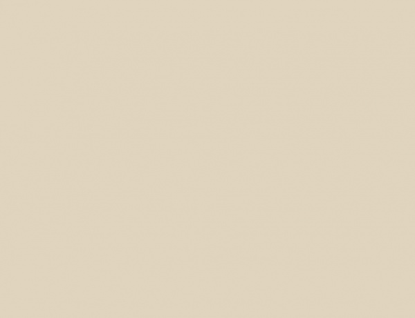 Стикер-тест Kolorit 300х400 мм глубокий мат Жито 