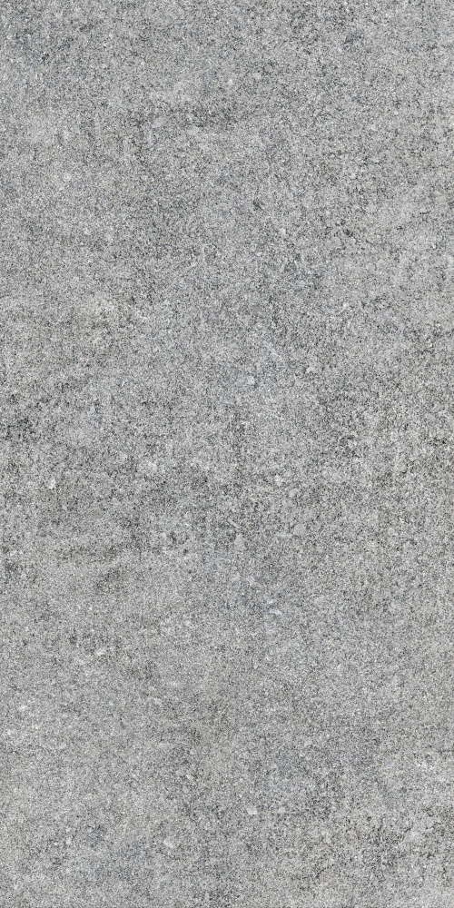 Плитка Allore Group Granito Grey F P R Mat 60х120 см