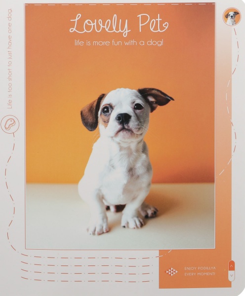 Тетрадь школьная Tadward 12 листов клетка