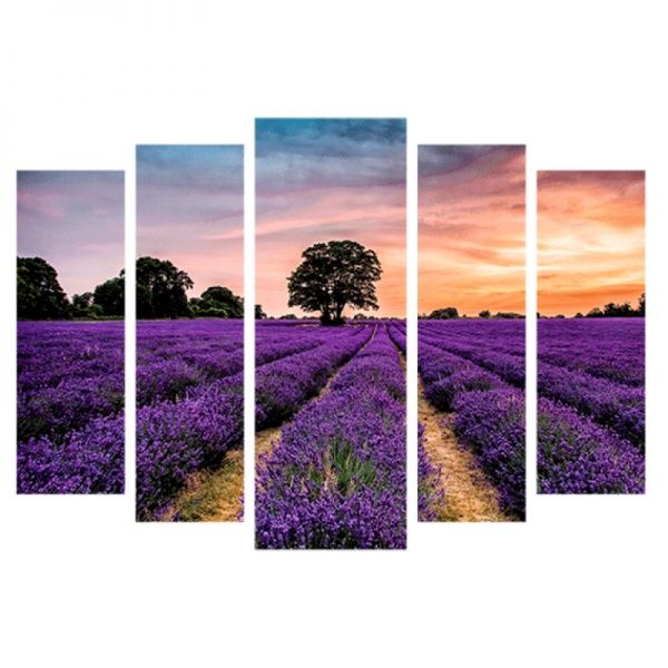 Картина модульная Лаванда 2 118x80 см 