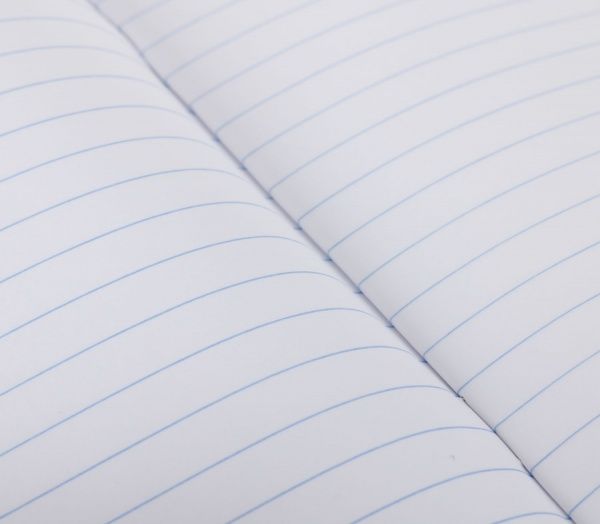 Тетрадь школьная 18 листов в линию 2021_1 Nota Bene