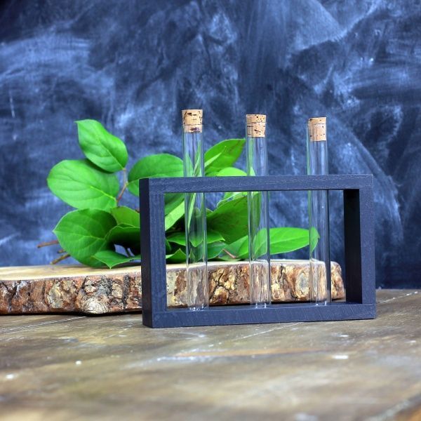 Підставка декоративна Склоприлад із 3 пробірками чорна 300547