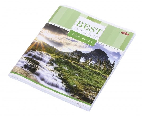 Тетрадь школьная 96 листов в клеточку в ассортименте Мечты сбываются