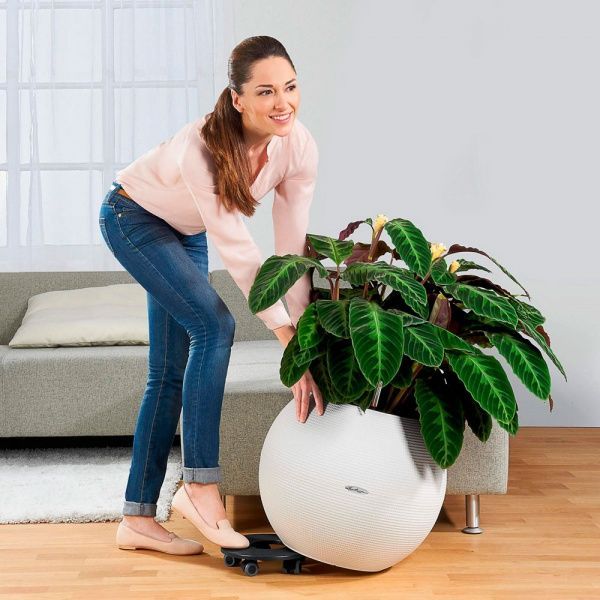 Подставка на колесах Lechuza Rolling Coaster for Classico d30 см 