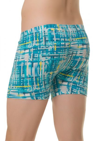 Трусы-шорты мужские KOSTA 0065-9 L голубой