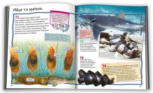 Книга Стив Паркер «100 фактів про акул» 978-617-7535-79-8