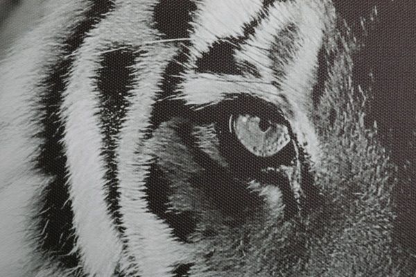 Репродукция Тигр 75x100 см Styler 