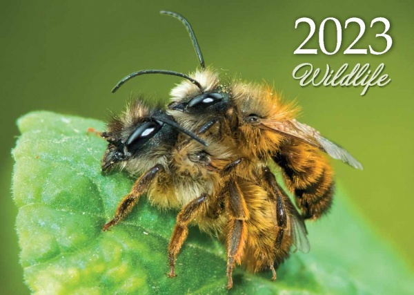 Календарь Діана Плюс «Кишеньковий» 2023