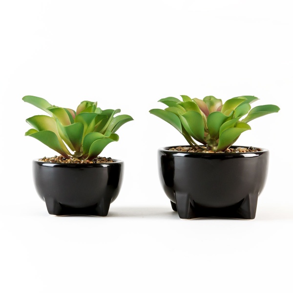 Растение декоративное DH-FLOWERS-14 M GREEN/BLACK MVM