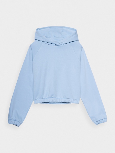 Джемпер 4F SWEATSHIRT F0847 4FSS23TSWSF0847-34S р. XS голубой