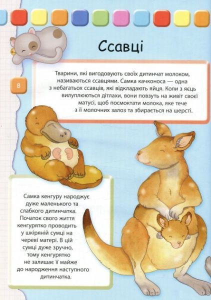 Книга Элеонора Барзотти «Человек: Большая книга для самых маленьких» 978-966-942-323-8
