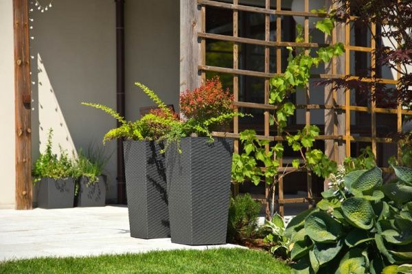 Горщик Lamela Фінезія ротанг 400 квадратний графіт 