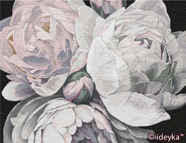 Картина за номерами Барви півонії 50х65 Ідейка 